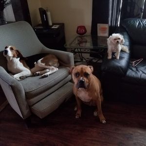 Meet your Posher, Janell